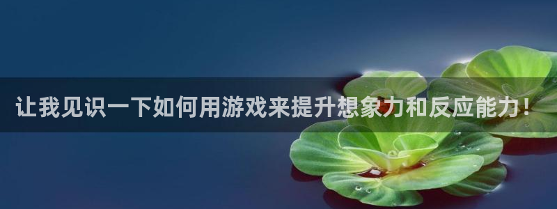 让我见识一下如何用游戏来提升想象力和反应能力！