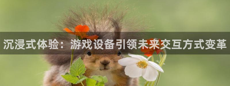 沉浸式体验：游戏设备引领未来交互方式变革