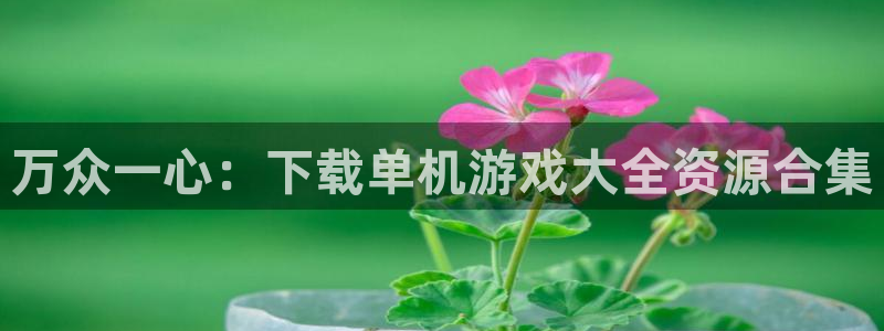 小艾电竞网页版登录：万众一心：下载单机游戏大全资源合集